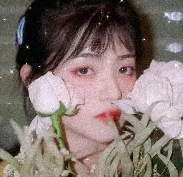 青春之爱
